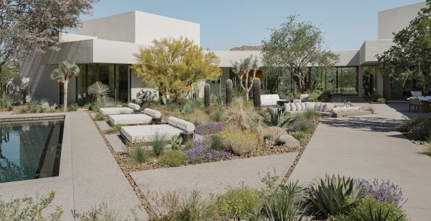 Modern desert landscape with palo verde trees, agave, and cactus by CC&R Nursery, Desert Hot Springs