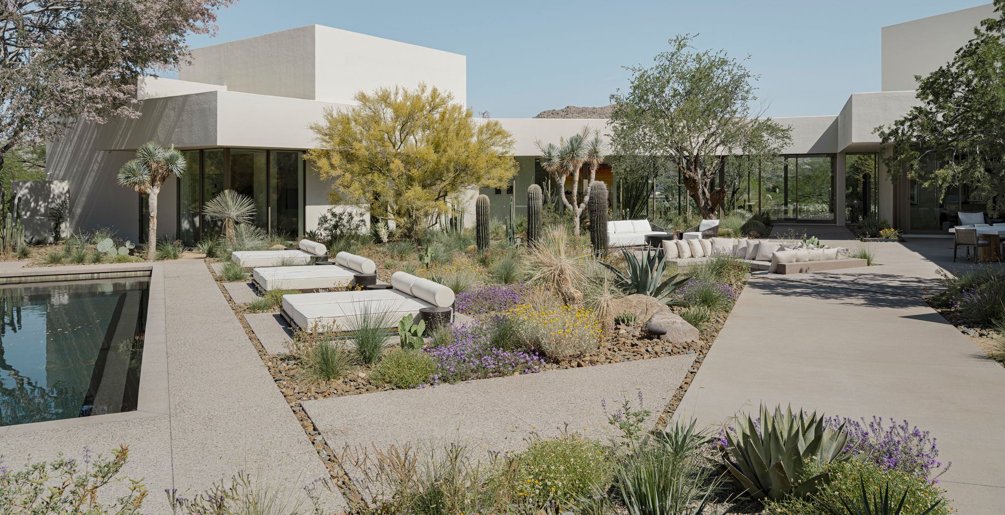 Modern desert landscape with palo verde trees, agave, and cactus by CC&R Nursery, Desert Hot Springs