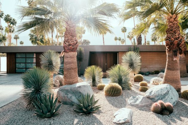 Palm trees, yucca, and barrel cactus in a Palm Springs front yard landscaped with CC&R Nursery plants